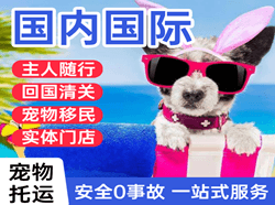 长治王村航空邮寄国际宠物托运 【国